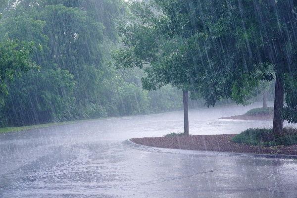 Rainfall Roofing