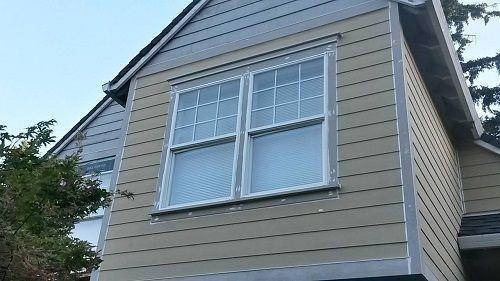 Professional Window Installation