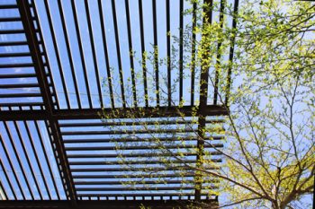 Patio Covers Lake Oswego