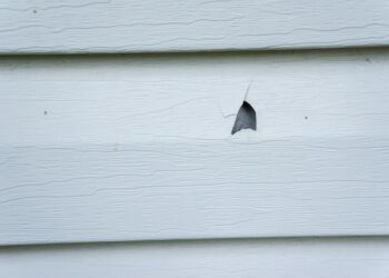 Siding Contractor Near Me SE Portland OR